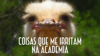 Coisas que me irritam na Academia - EMVB - Emerson Martins Video Blog 2017