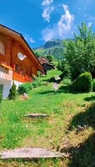 Refresh Your Imagination