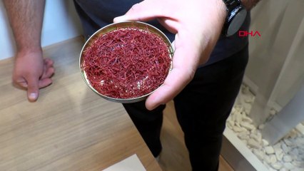 Safranın kilosu 80 bin liraya ulaştı
