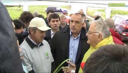 Бойко сади кокичета