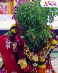 श्रीकृष्ण सांगतात की,तुळशीला ही एक गोष्ट बांधल्याने संपत्ती वाढते