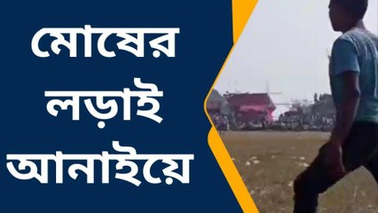 পুরুলিয়া:প্রশাসনকে বুড়ো আঙ্গুল দেখিয়ে কাঁড়া লড়াই!