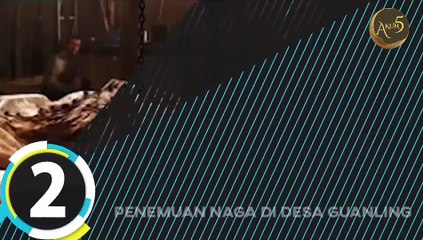 5 Penemuan Naga Yang Menghebohkan dunia, ada dari indonesia
