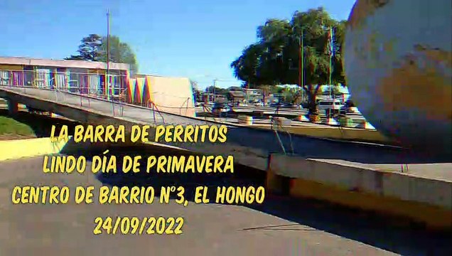 Los perritos en un día primaveral en El Hongo, Tacuarembó, Uruguay (24/09/2022)