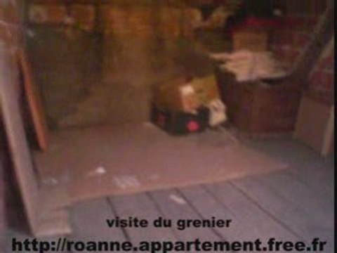 Visite grenier appartement roanne vends appart a vendre - vendu en benefice par zetrader