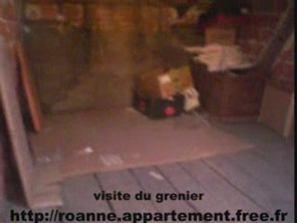 Visite grenier appartement roanne vends appart a vendre - vendu en benefice par zetrader