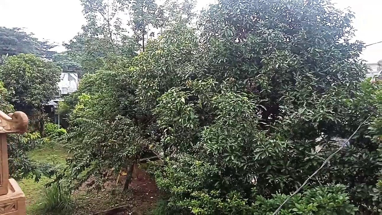 Keindahan alam sore