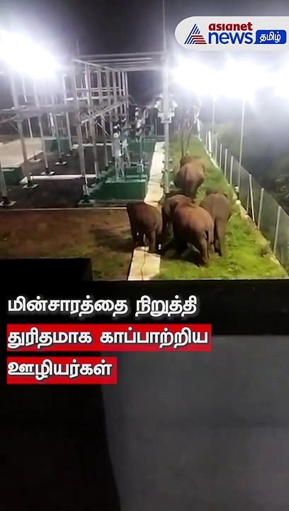 Watch : கோவை துணை மின்நிலையத்தில் புகுந்த யானைக்கூட்டம்! அவசரமாக மின்சாரம் துண்டிப்பு!