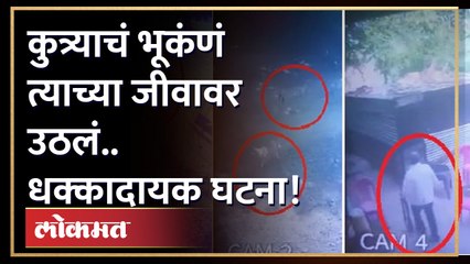 Parli: कुत्रा भुंकला.. आणि दुसऱ्याच क्षणी हे घडलं.. तुम्हालाही धक्का बसेल...