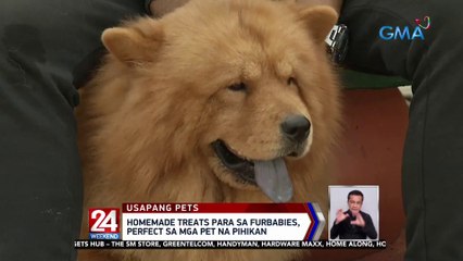 Homemade treats para sa furbabies, perfect sa mga pet na pihikan | 24 Oras Weekend