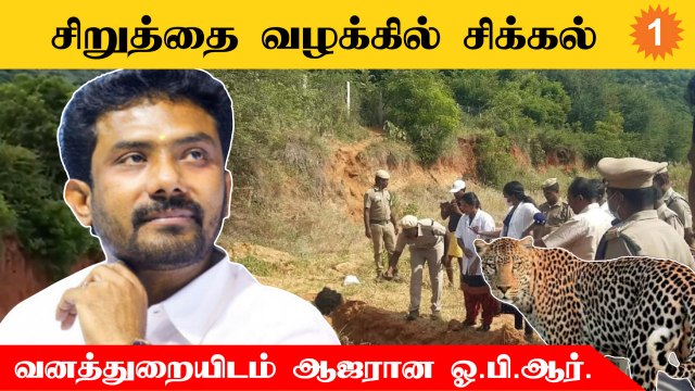 ஓ.பி.எஸ். மகனும், தேனி மக்களவை உறுப்பினருமான ரவீந்திரநாத் தோட்டத்தில் சிறுத்தை உயிரிழந்த வழக்கு