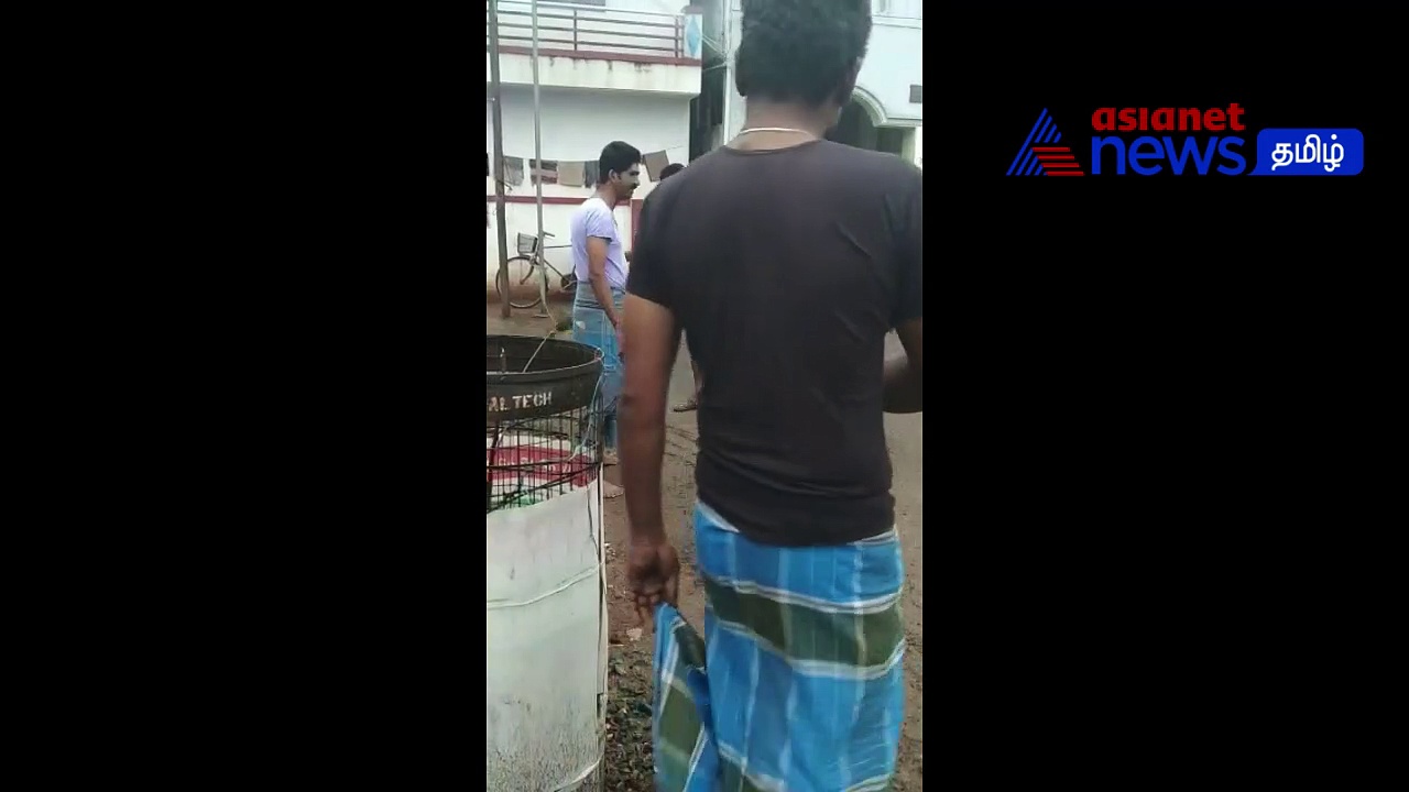 Watch : கார் நிறுத்த இடம் கேட்டு தகராறு! - மரத்தை முறித்து எரிந்த திமுகவின் கோவை மாமன்ற பெண் உறுப்பினர்!