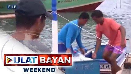 Pag-angkat ng 25-MT frozen na isda, pinayagan ng Dep't of Agriculture