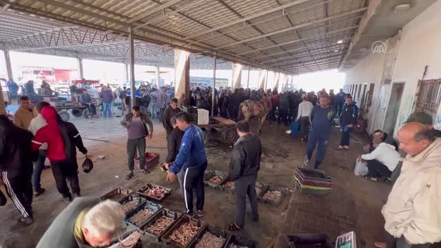 İsrail, Gazze Şeridi'nden Batı Şeria'ya balık ihracatını durdurdu