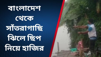 হাওড়া: অভিনব প্রতিযোগিতা, মাছ ধরতে পারলেই পুরষ্কার এক লাখ