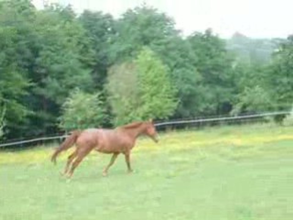 lolita été 2007 3