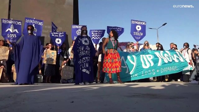 Watch: Protesters call for compensation from wealthy nations at COP27