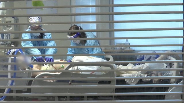 항체치료제 안 듣는 오미크론 BQ, 미국서 곧 우세종 / YTN