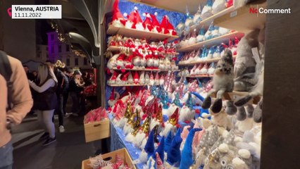 Watch: Thousands flock to Vienna as its Christmas market opens