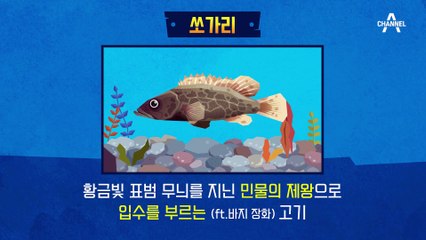 민물의 제왕 쏘가리 첫 히트의 주인공, 이덕화