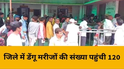 हरदोई:डेंगू के बढ़ते मामलों को लेकर स्वास्थ्य विभाग अलर्ट,जानिए रोकथाम और बचाव के टिप्स