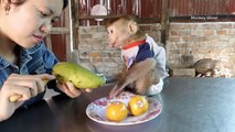 Most Adorable Monkey Donal Raise Cute Arm To Request Mom Cutting Mango For Him