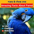 Amazing Facts About Parrot | तोते के बारे में रोचक तथ्य #shorts #रोचक #ytshort #facts