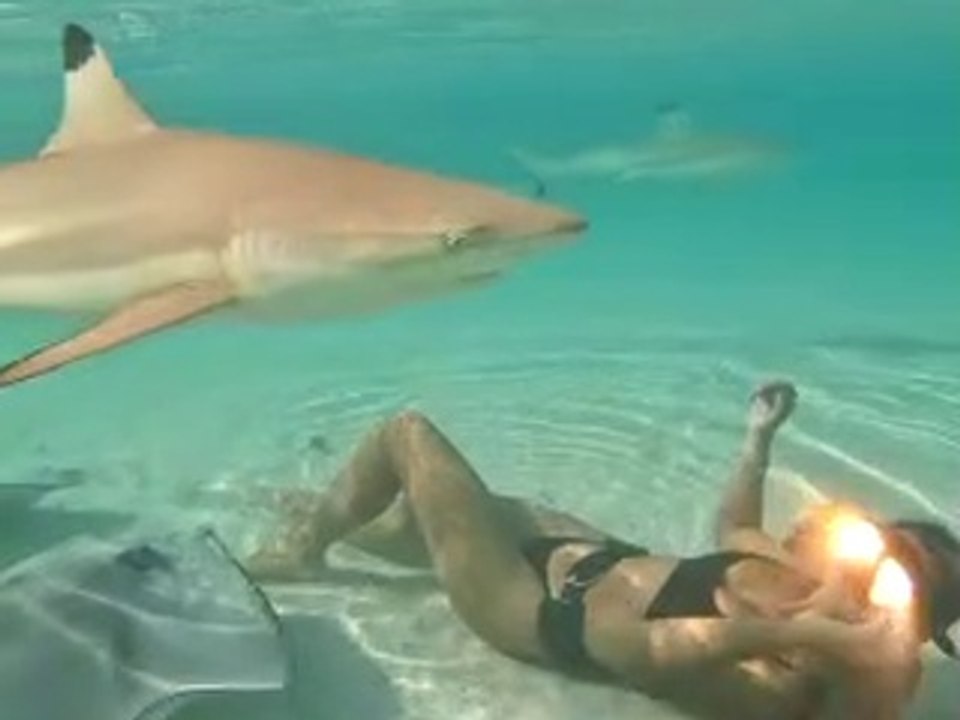Swimming With Blacktip Sharks and Stingrays