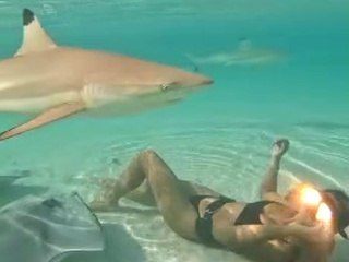 Swimming With Blacktip Sharks and Stingrays