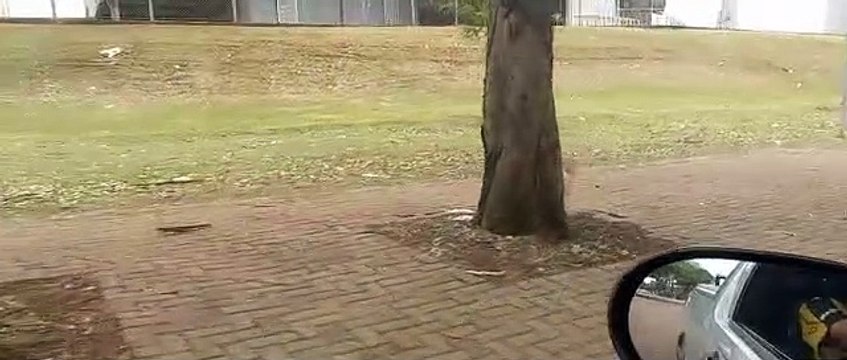 Organizar evento é fácil, quero ver vim limpar? , afirma morador do Santo Onofre após show do Gustavo Lima