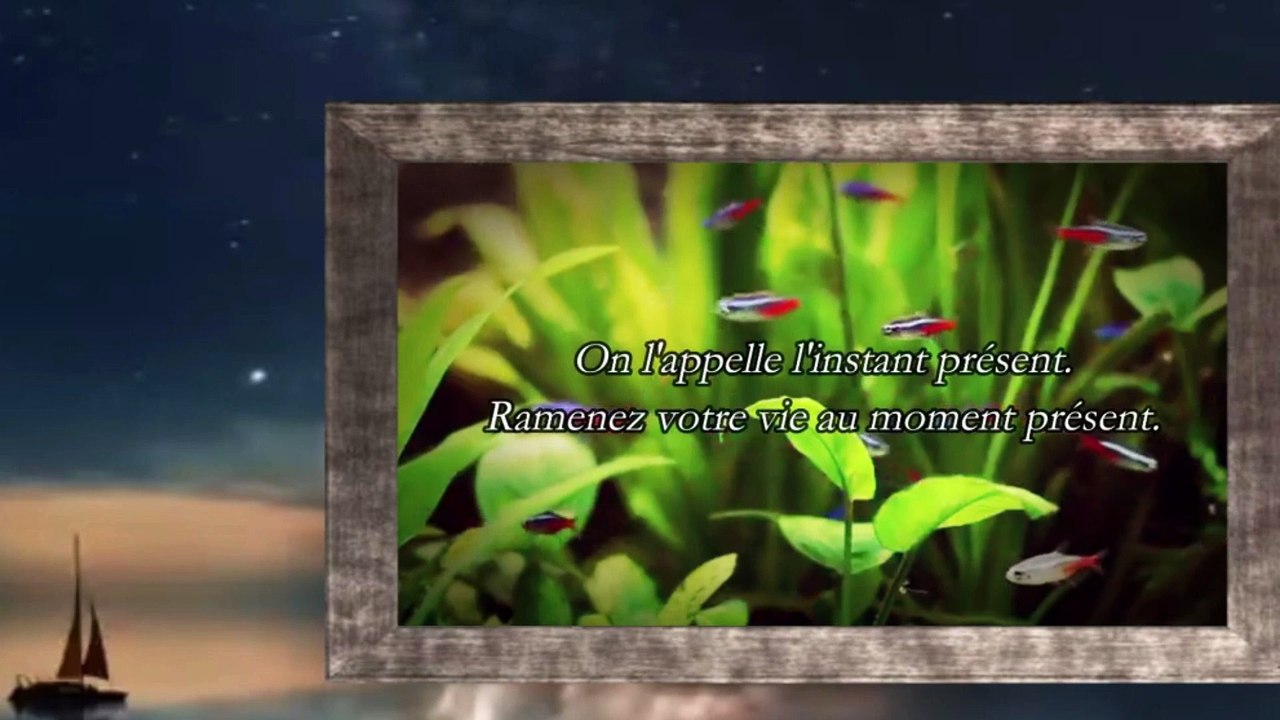 LE POUVOIR DU MOMENT PRESENT (CHAP 3/ PART 9)