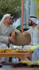 Sheikh Mohammed meets UAE President