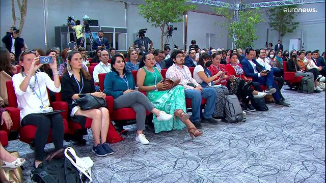 COP27: как побороть глобальный кризис?