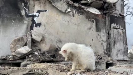 Banksy sorprende con una gimnasta en un edificio bombardeado en Ucrania