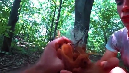 Animals That Asked People for Help (2)