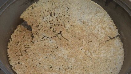 유기농 '백세미' 호주 수출...'백세 미남' 선발대회도 열려 / YTN