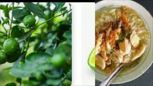 Apa saja manfaat jeruk nipis untuk kesehatan tubuh kita?