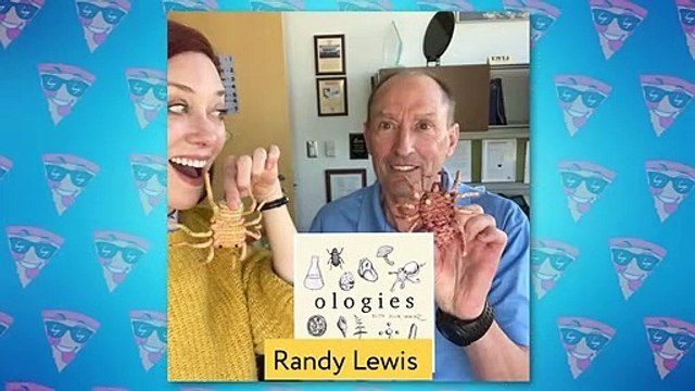 Unreal Hybrid Animals Created By Scientists