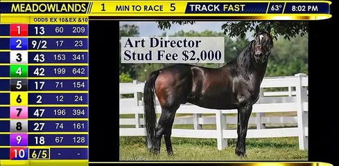 Meadowlands  Racetrack - 279,290 KINDERGARTEN SERIES TROT 2 Year Old Fillies November 12, 2022