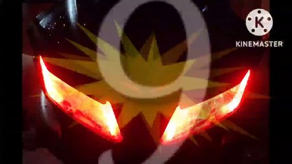 FUNNY VIDIO, Packed and cute behavior of cats and dogs