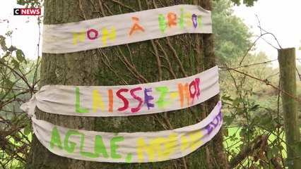 Une délocalisation d'usine repoussée après la pression exercée par des écologistes radicaux