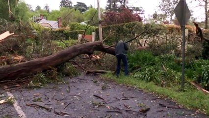 Tens of thousands still without power in South Australia