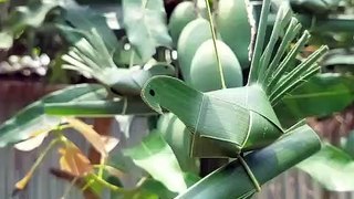 Membuat burung dari daun kelapa