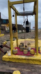 Dog Spots For Man Working Out