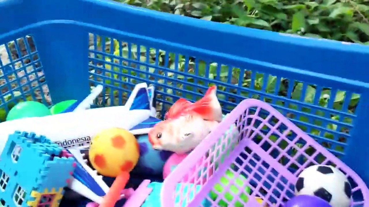 Mencari mainan Di Kebun!!! mainan anak-anak!! Mainan anak !! Bocil Mencari Mainan!!! Bocil Bermain!!