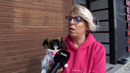 (İSTANBUL - ÖZEL)Büyükçekmece'de pencereden düşen köpeği böyle yakaladı