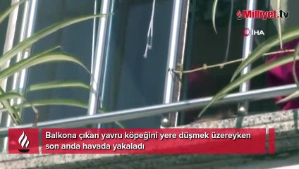 Pencereden düşen köpeği havada yakaladı