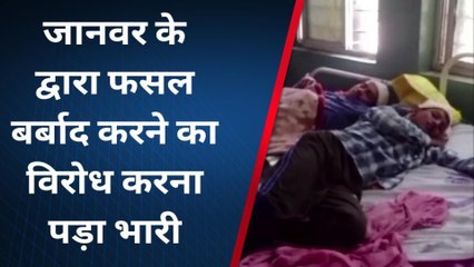 जहानाबाद: भैंस द्वारा फसल बर्बाद करने का किया विरोध तो दबंगों ने पुरे परिवार को पिटा