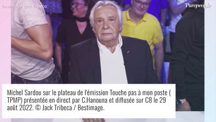 Michel Sardou cupide ? Son célèbre beau-frère sort du silence et répond cash !