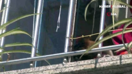 Pencereden düşen köpeği havada yakaladı, hayatını kurtardı